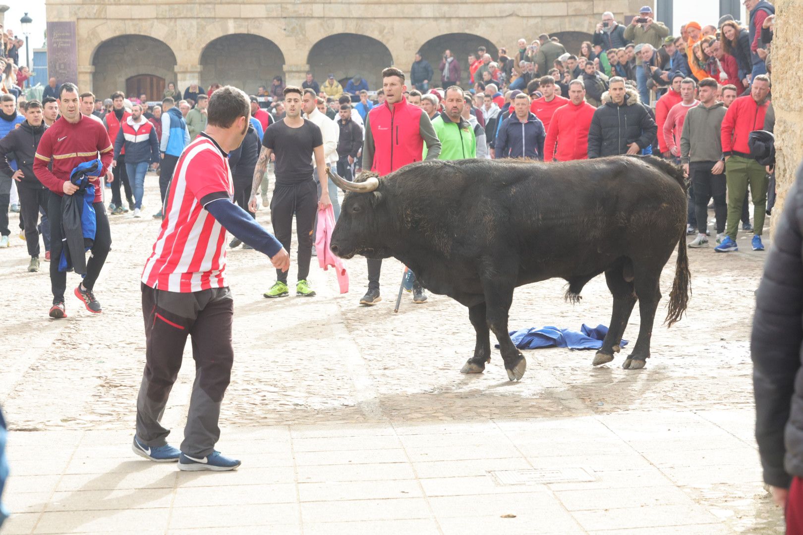 Fotos: Encierro rápido y limpio en Ciudad Rodrigo