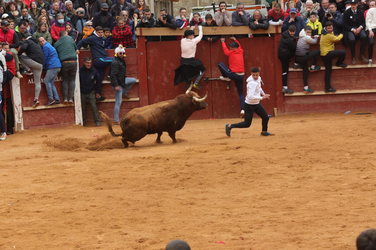 Imagen. Un joven recorta a uno de los toros en la capea.