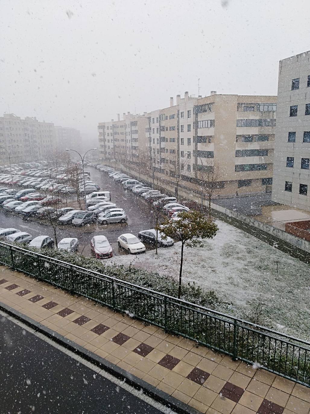 Fotos: Copiosa nevada en Salamanca capital