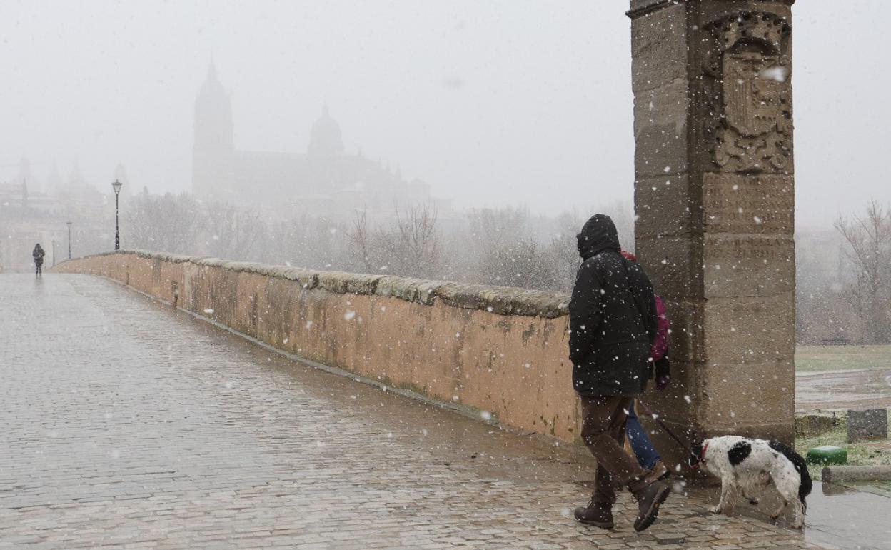 Nieve sobre el Puente Romano de Salamanca.