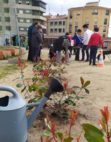 Imagen secundaria 2 - Las superficies pavimentadas siguen siendo mayoritarias en los colegios. Reducir el cemento y plantar distintas especies vegetales son algunas de las características de los patios vivos. 