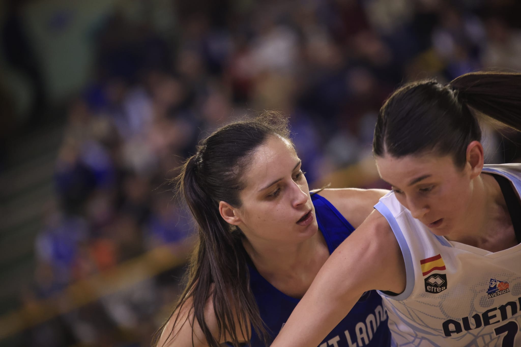 Avenida gana a Landes y sigue vivo en Europa