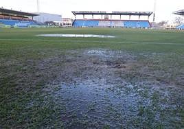 Charcos que presentaba esta mañana el césped del Reina Sofía.