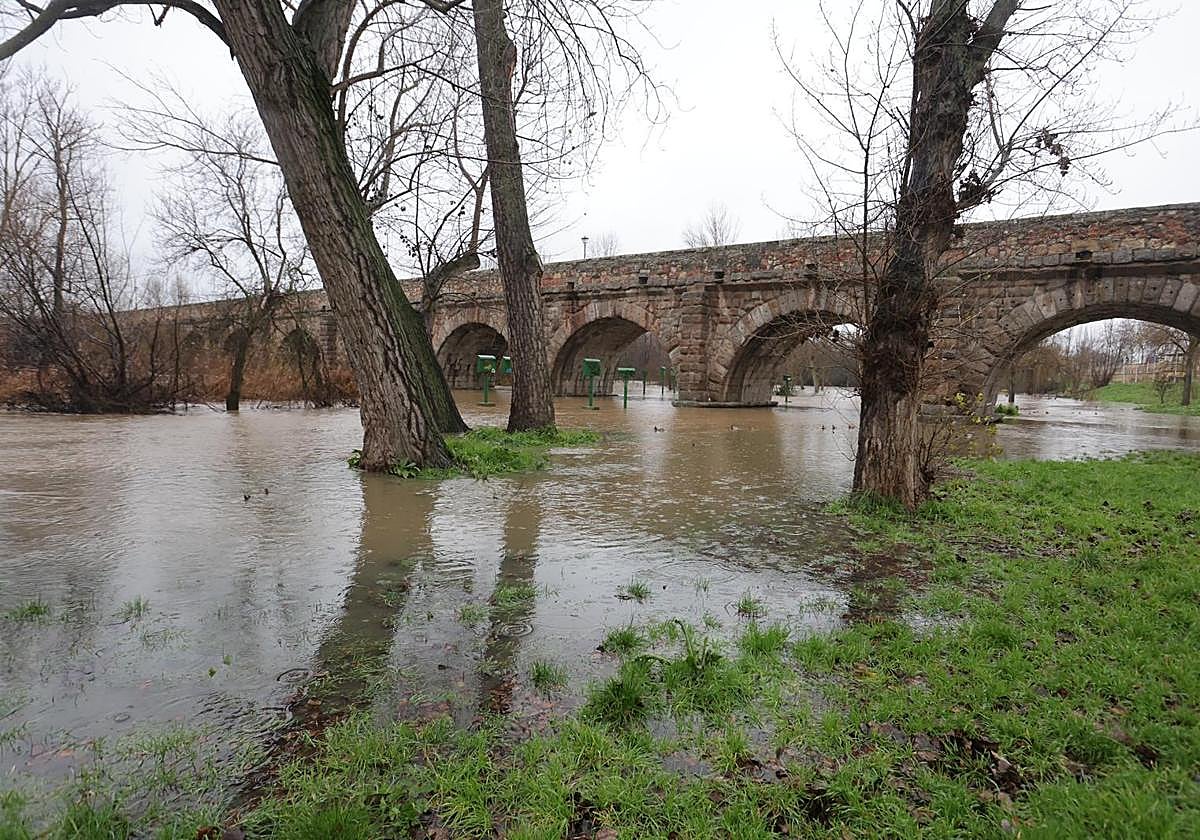 La crecida del Tormes inunda los bajos del Puente Romano en Salamanca