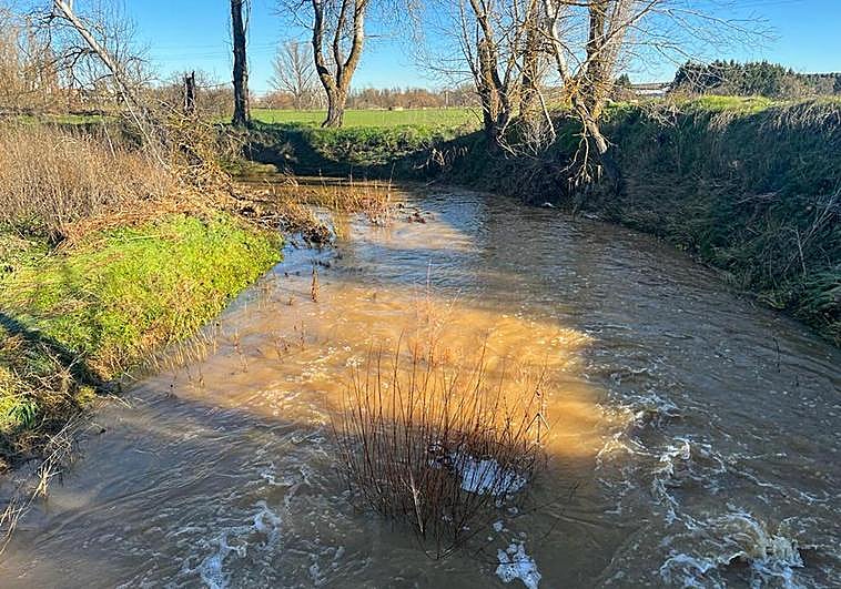 El arroyo del Zurguén a su paso por Aldeatejada.