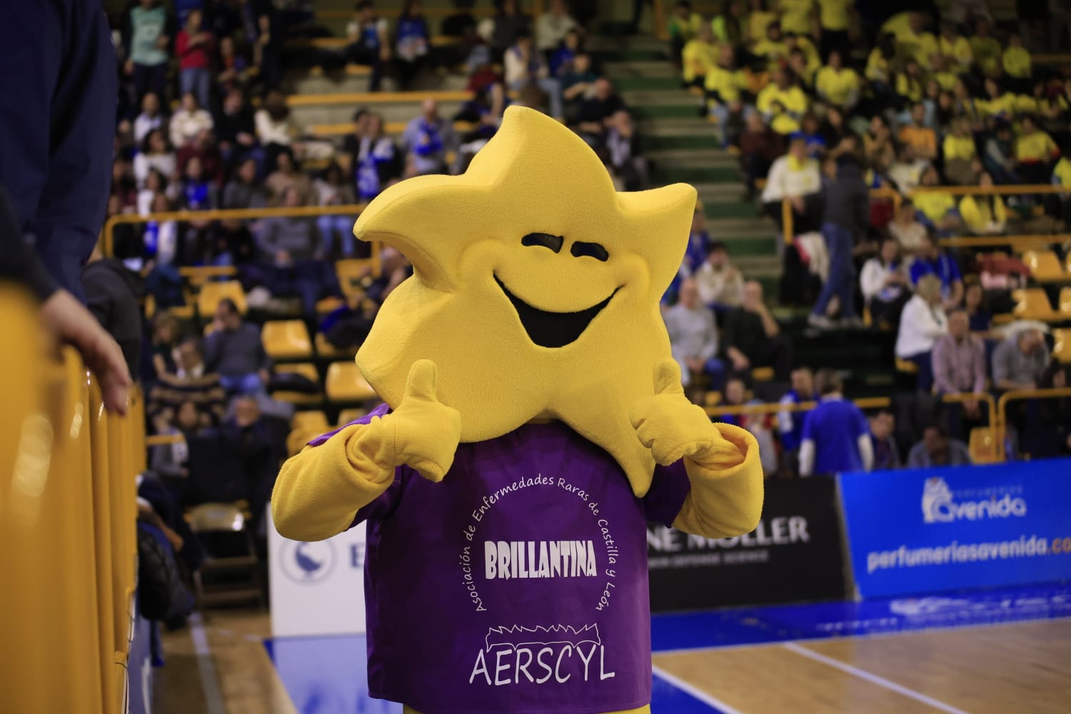 Victoria de Avenida ante el Bembibre