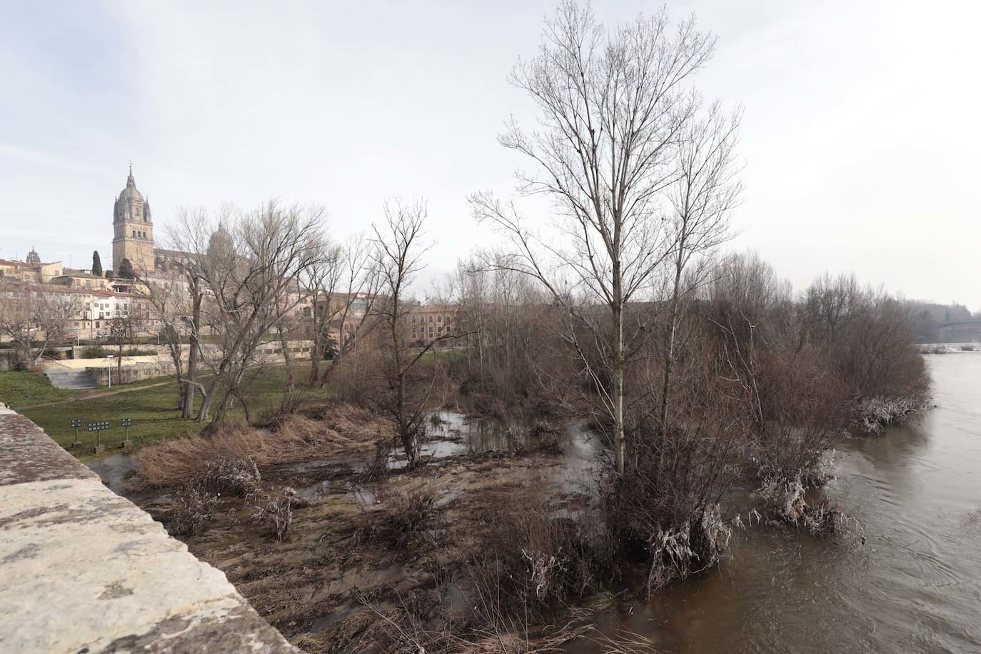 La basura emerge del Tormes después de la borrasca