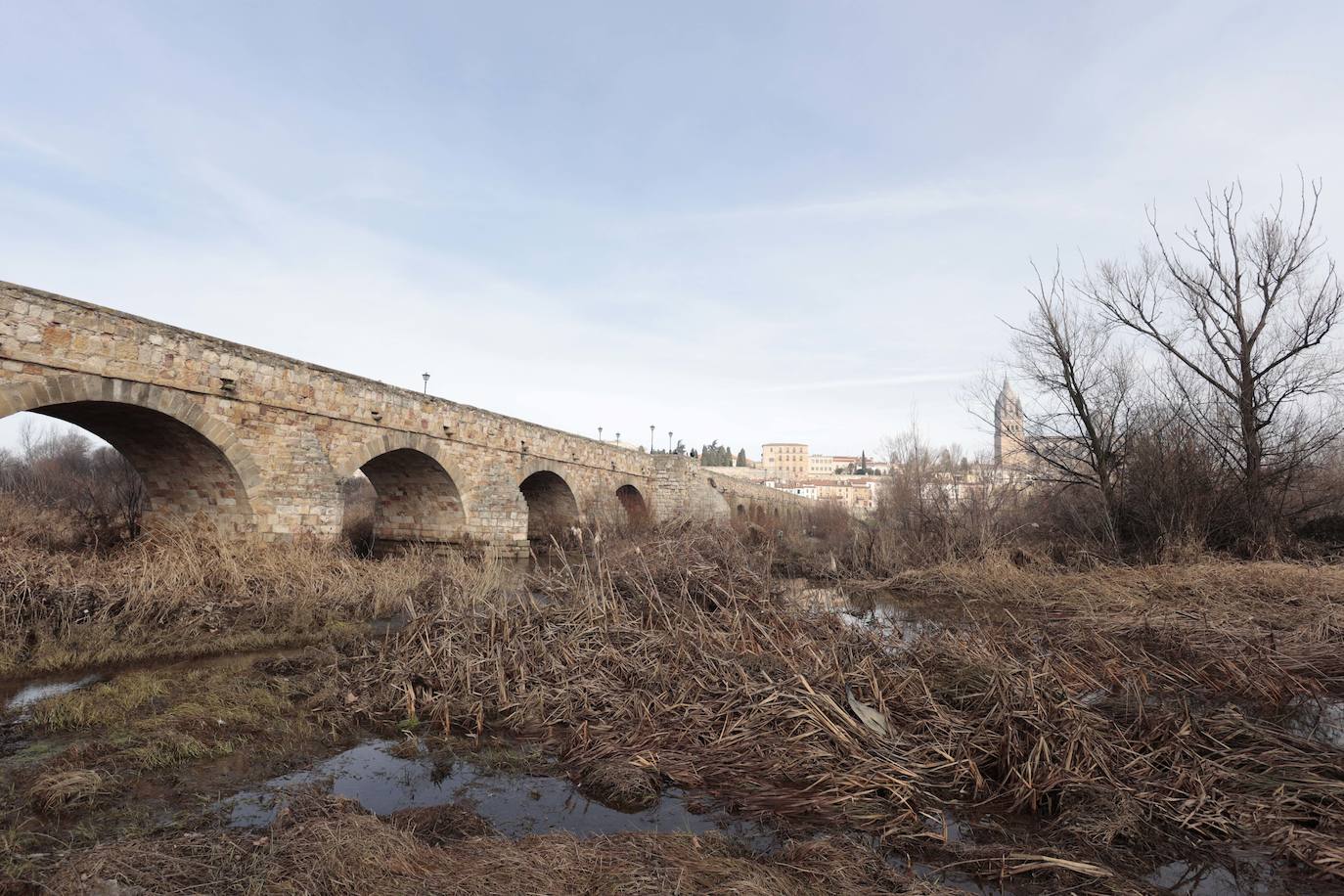 La basura emerge del Tormes después de la borrasca