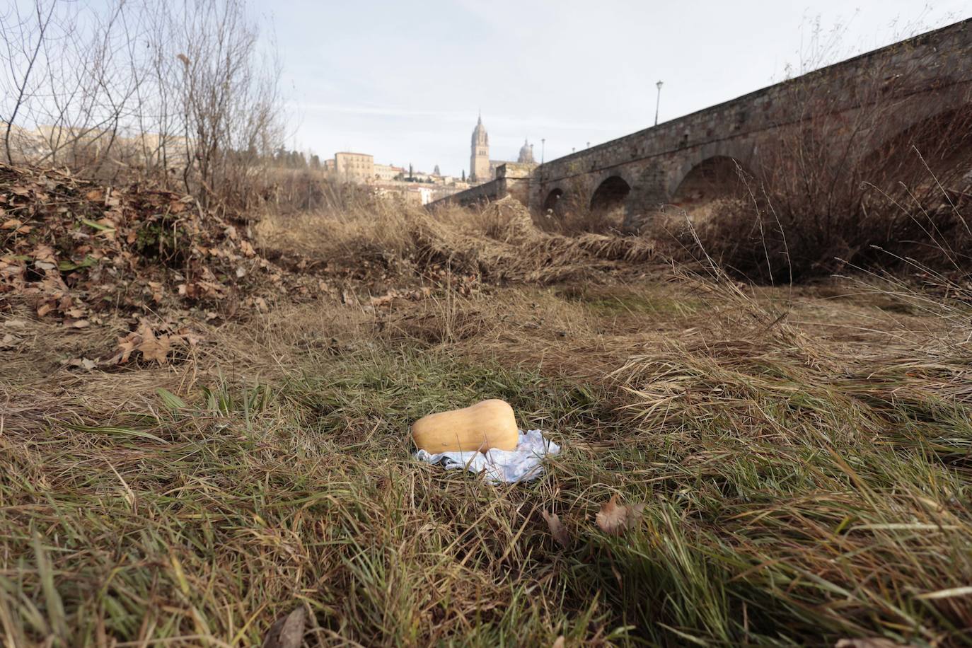 La basura emerge del Tormes después de la borrasca