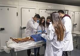Alumnos hacen prácticas médicas con un cadáver.