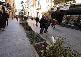 Cercado protegiendo uno de los parterres de la calle Zamora.