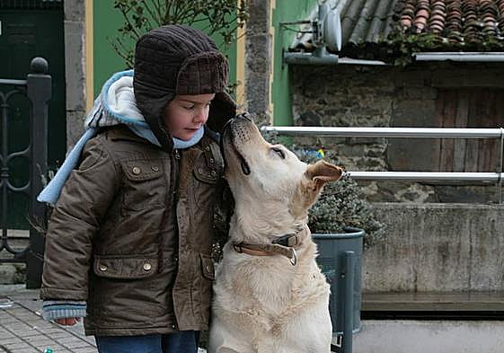 Niño junto a un perro