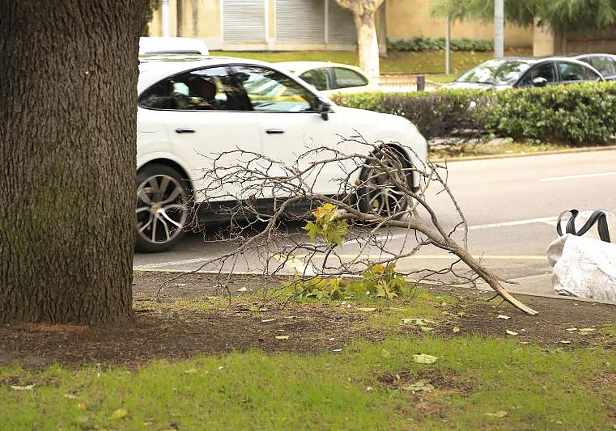 El 112 recibe 25 llamadas desde Salamanca por el temporal