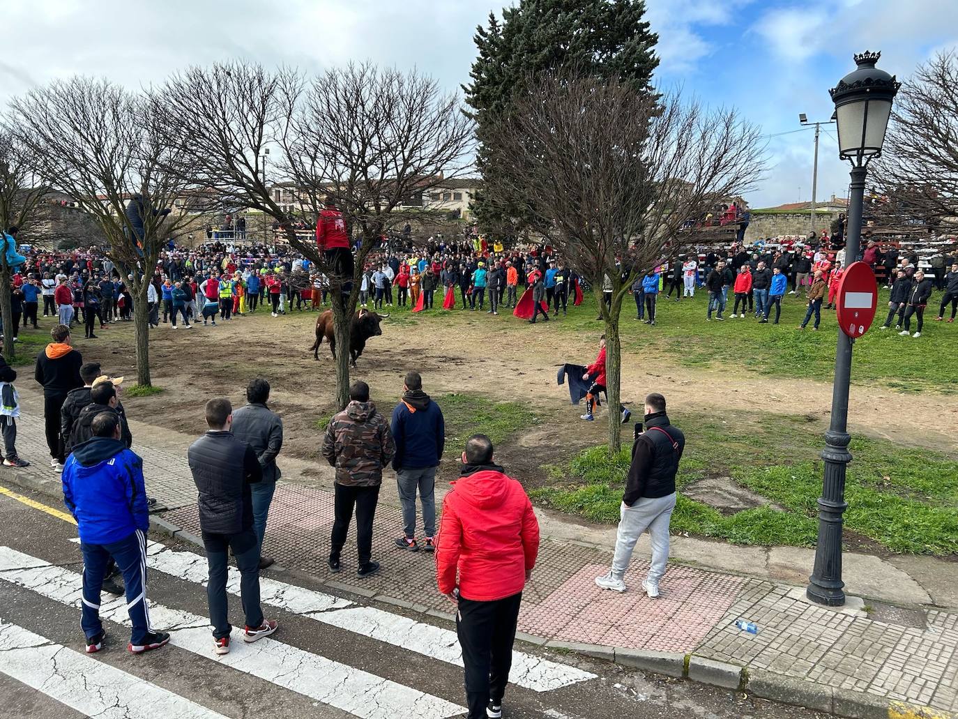 El Toro del Antruejo en imágenes