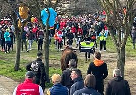 El Toro del Antruejo en el Carnaval de Ciudad Rodrigo