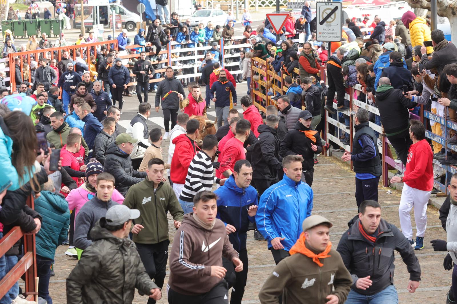 El multitudinario encierro del sábado en Ciudad Rodrigo, en imágenes