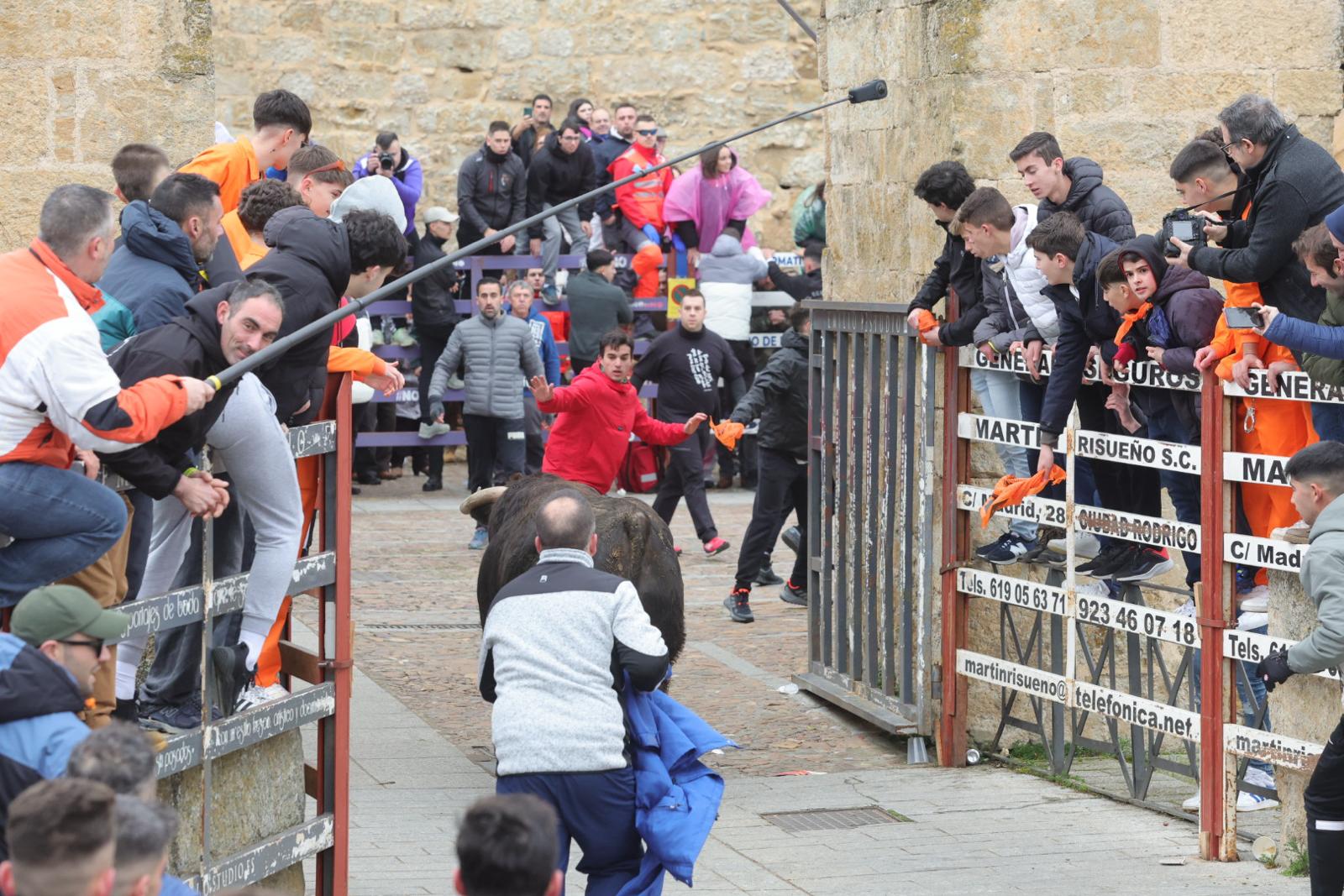 El multitudinario encierro del sábado en Ciudad Rodrigo, en imágenes