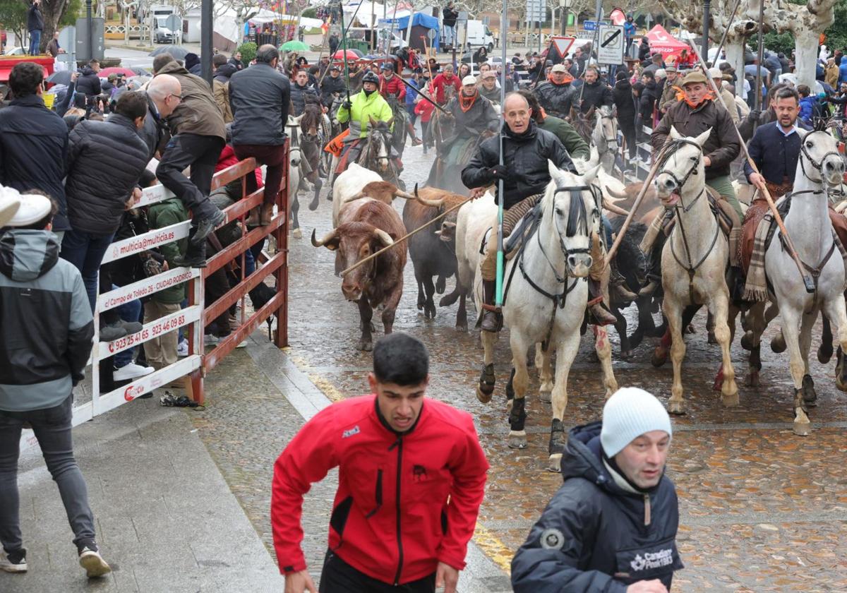 Seis heridos en un encierro mixto con paraguas en el domingo del Carnaval de Ciudad Rodrigo