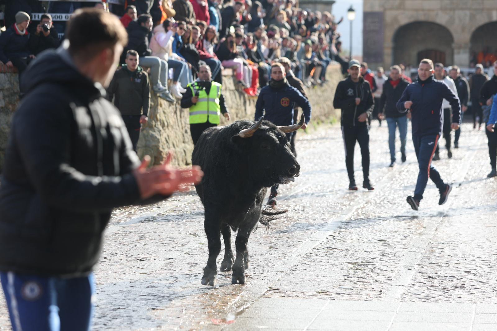 Todas las imágenes del encierro del lunes por la mañana