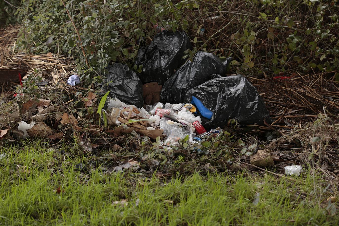 La crecida del río llena de &#039;basuraleza&#039; la ribera del Tormes