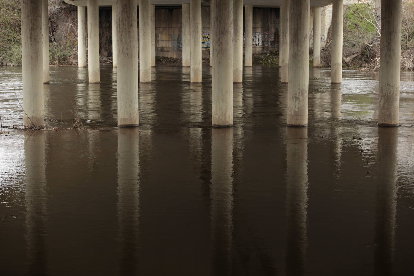 La crecida del río llena de &#039;basuraleza&#039; la ribera del Tormes