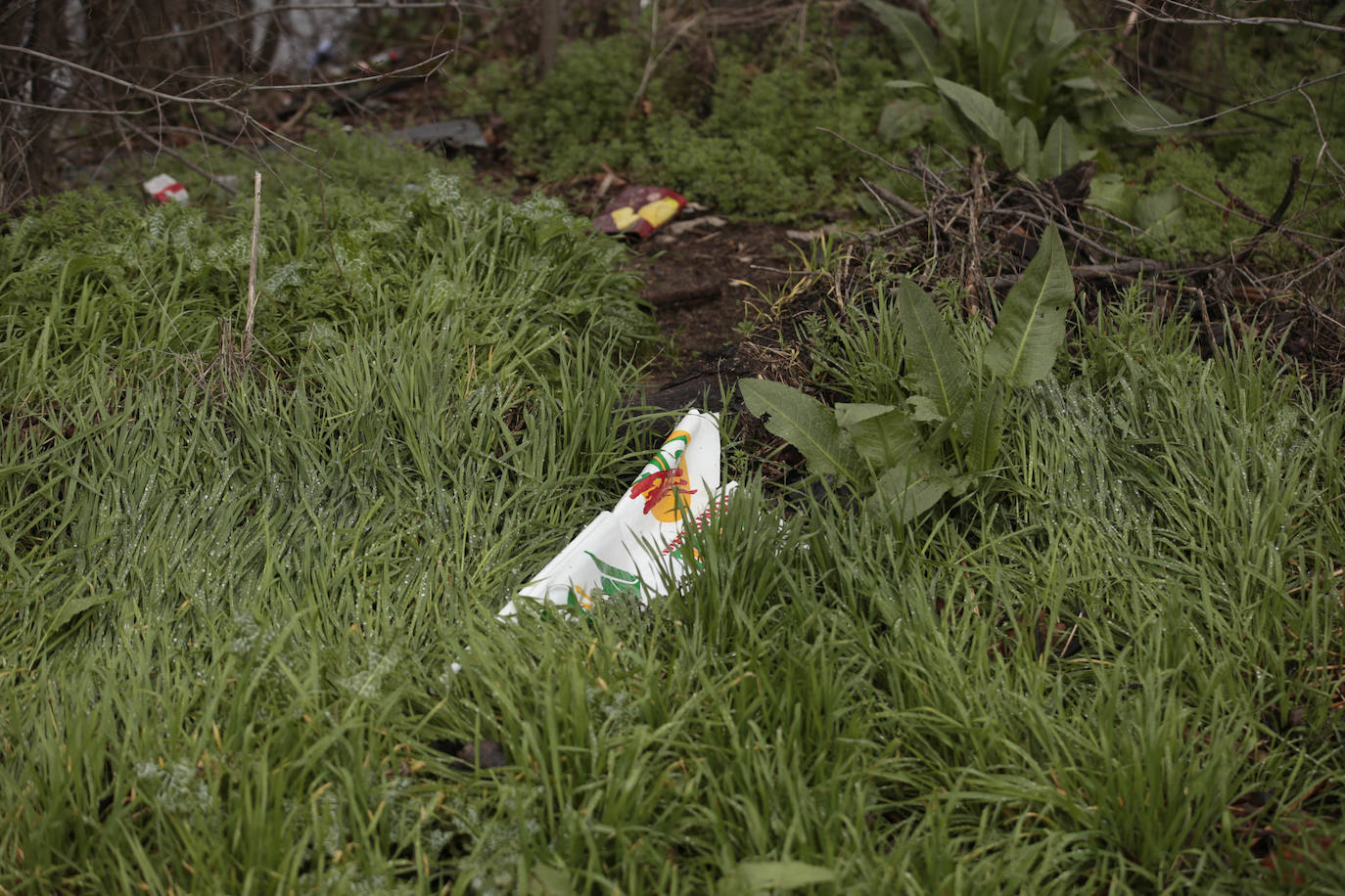 La crecida del río llena de &#039;basuraleza&#039; la ribera del Tormes