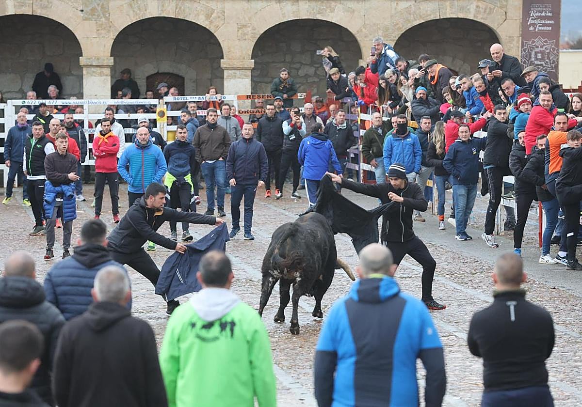 El Martes de Carnaval arranca en Ciudad Rodrigo con un divertido Toro del Aguardiente
