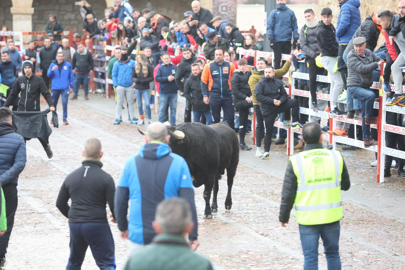 El Martes de Carnaval arranca en Ciudad Rodrigo con un divertido Toro del Aguardiente