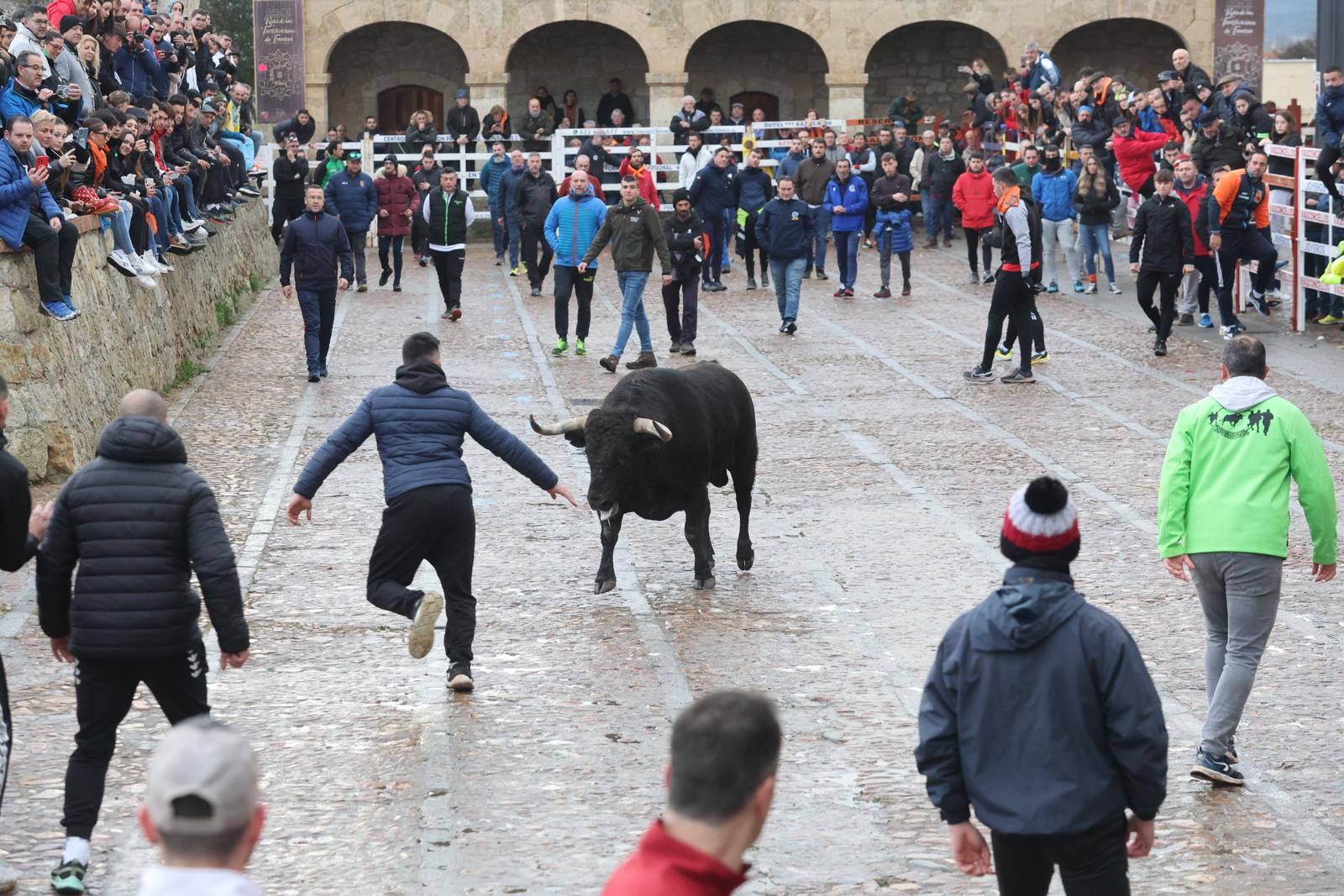 El Martes de Carnaval arranca en Ciudad Rodrigo con un divertido Toro del Aguardiente