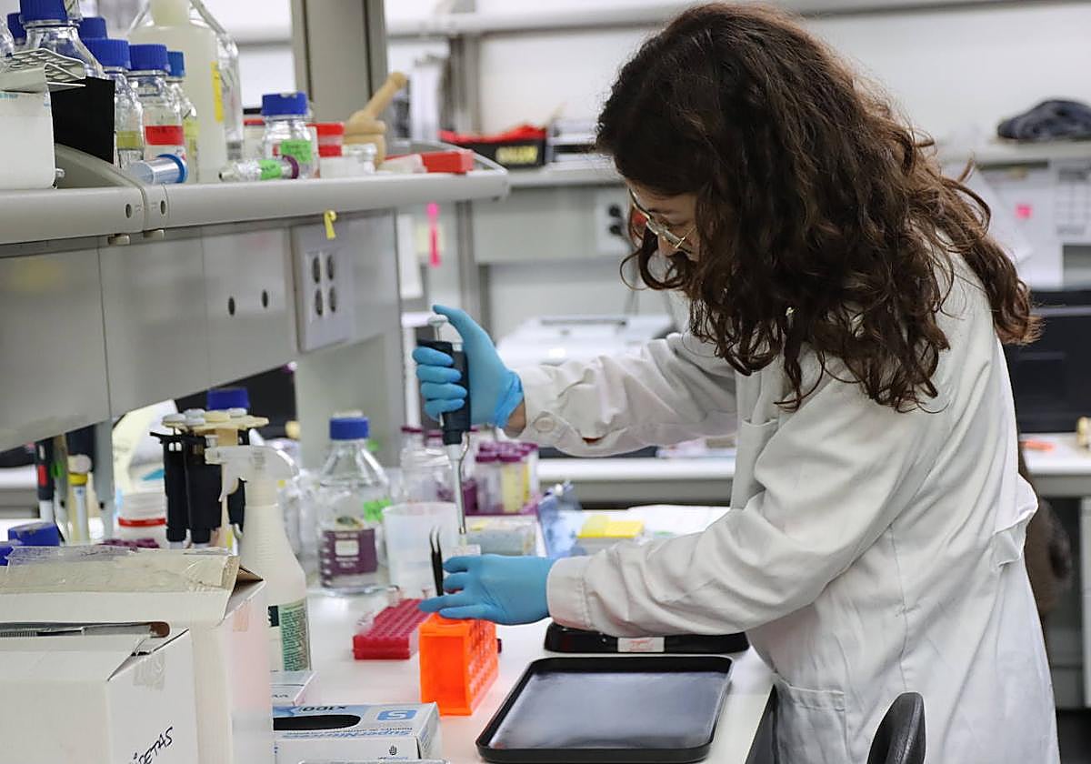 Una investigadora trabaja en uno de los laboratorios de la USAL.
