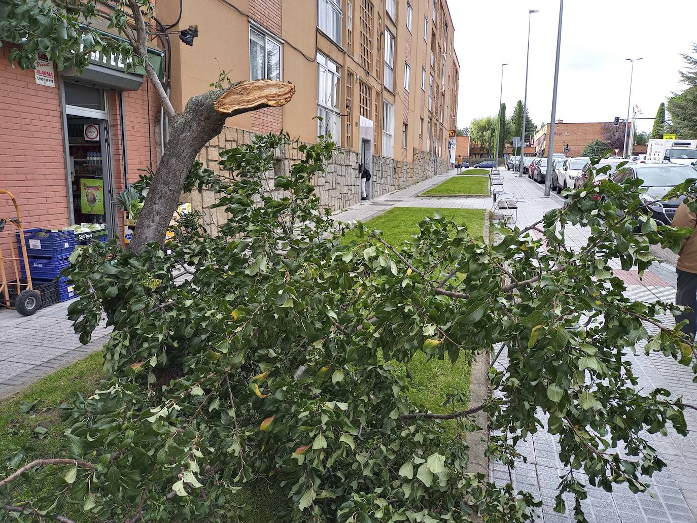 Los efectos de los temporales en Salamanca, en imágenes