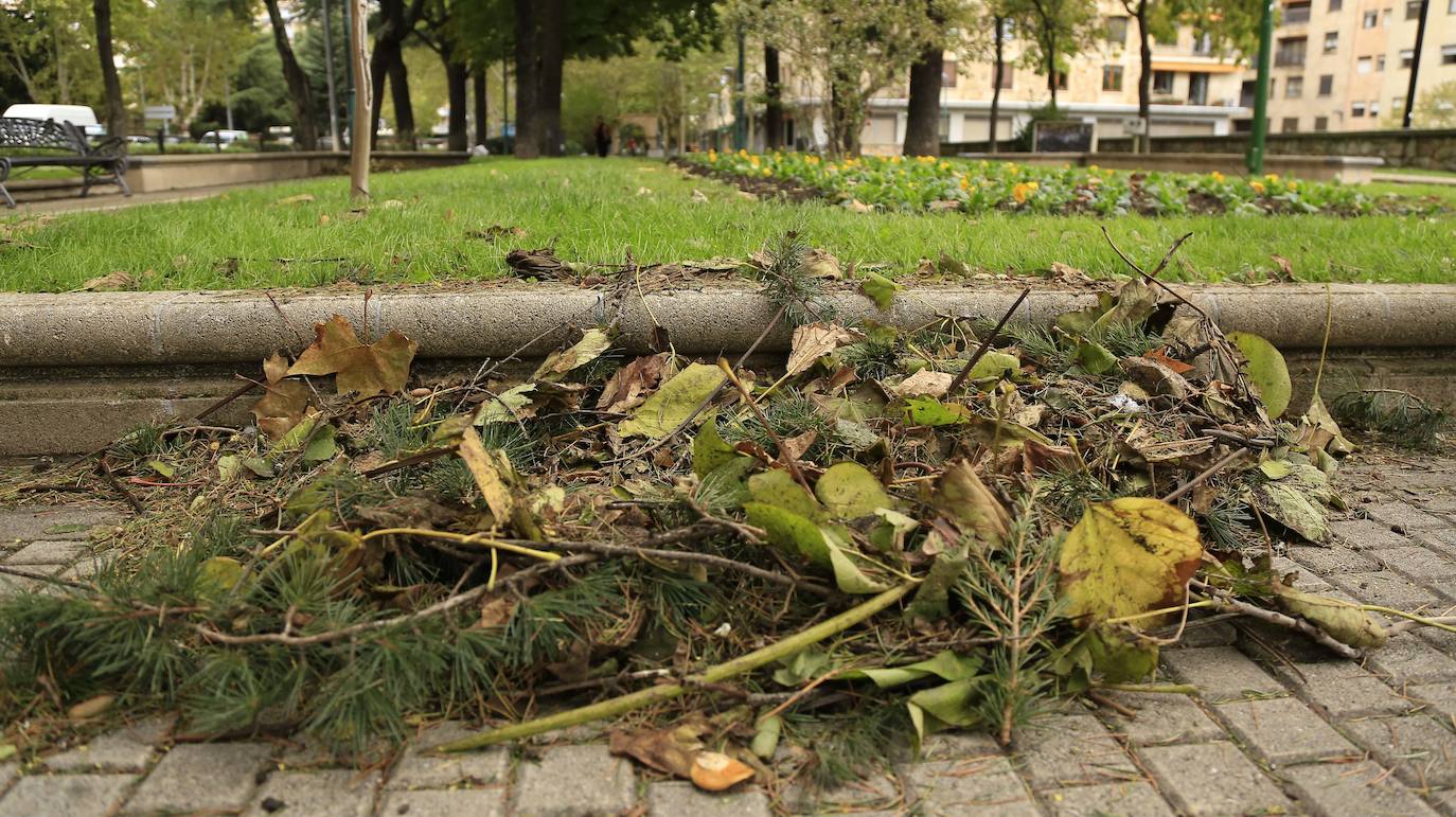 Los efectos de los temporales en Salamanca, en imágenes