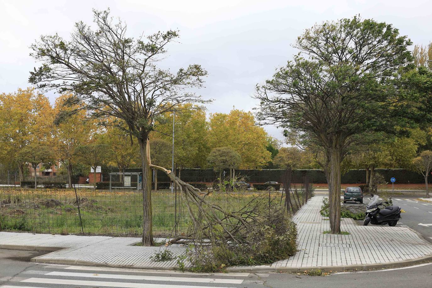 Los efectos de los temporales en Salamanca, en imágenes