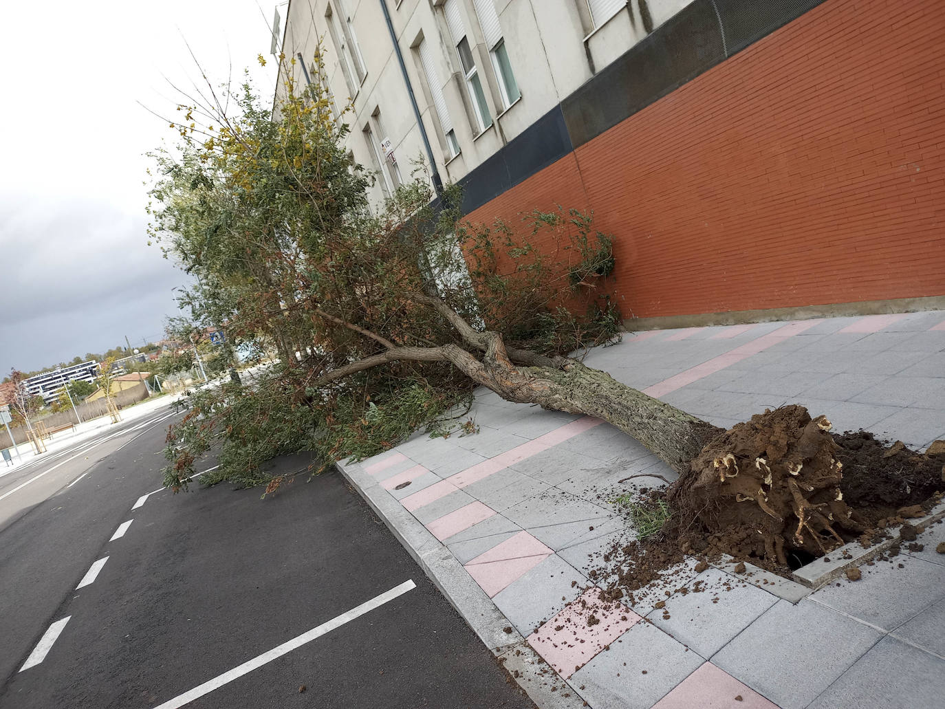 Los efectos de los temporales en Salamanca, en imágenes
