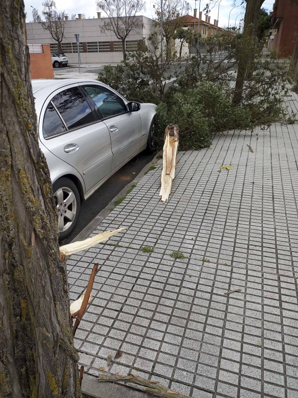 Los efectos de los temporales en Salamanca, en imágenes
