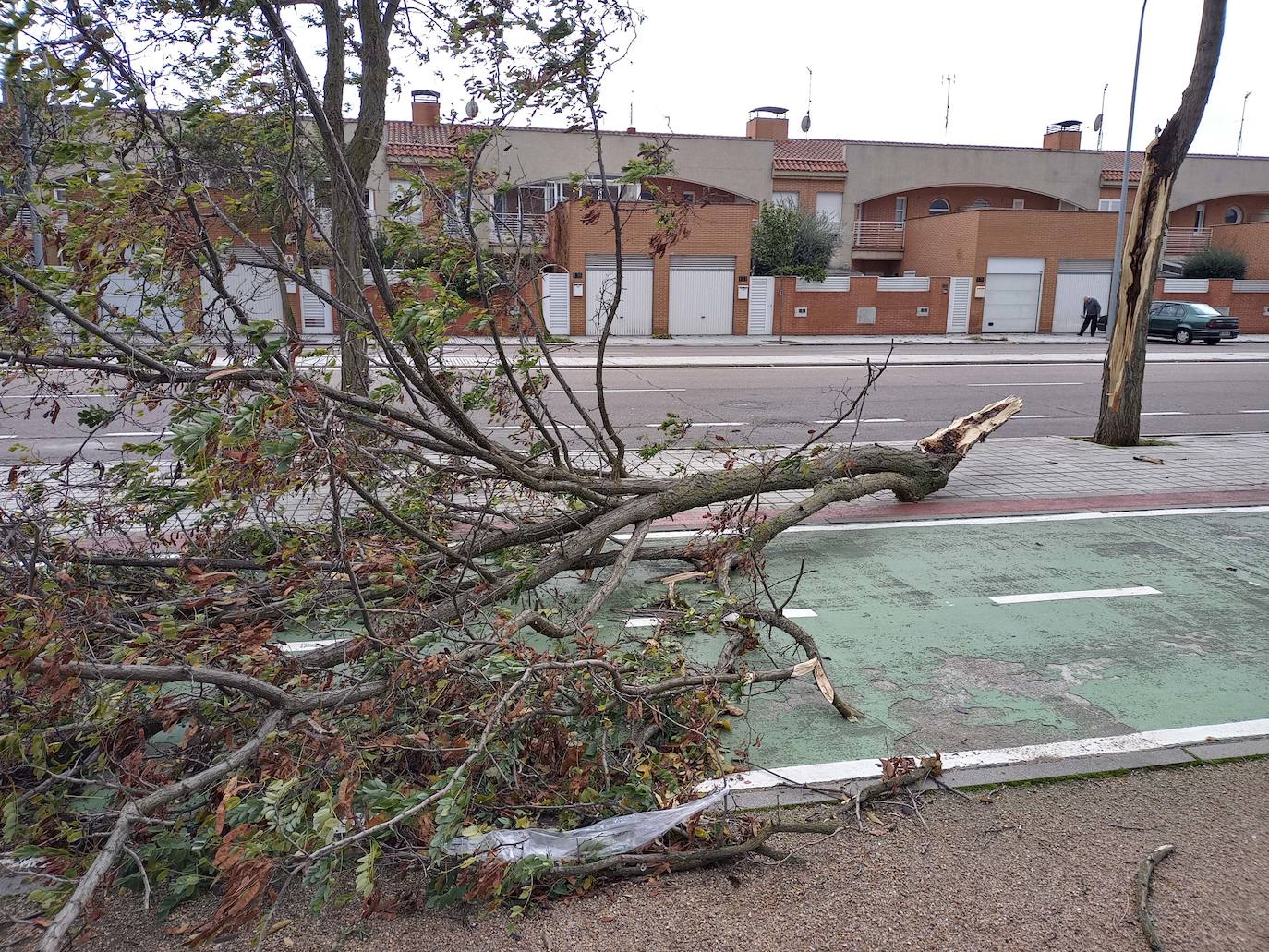 Los efectos de los temporales en Salamanca, en imágenes