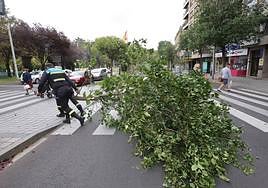 Dos agentes de policía retiran un árbol caído por viento en Salamanca recientemente en una imagen de archivo.