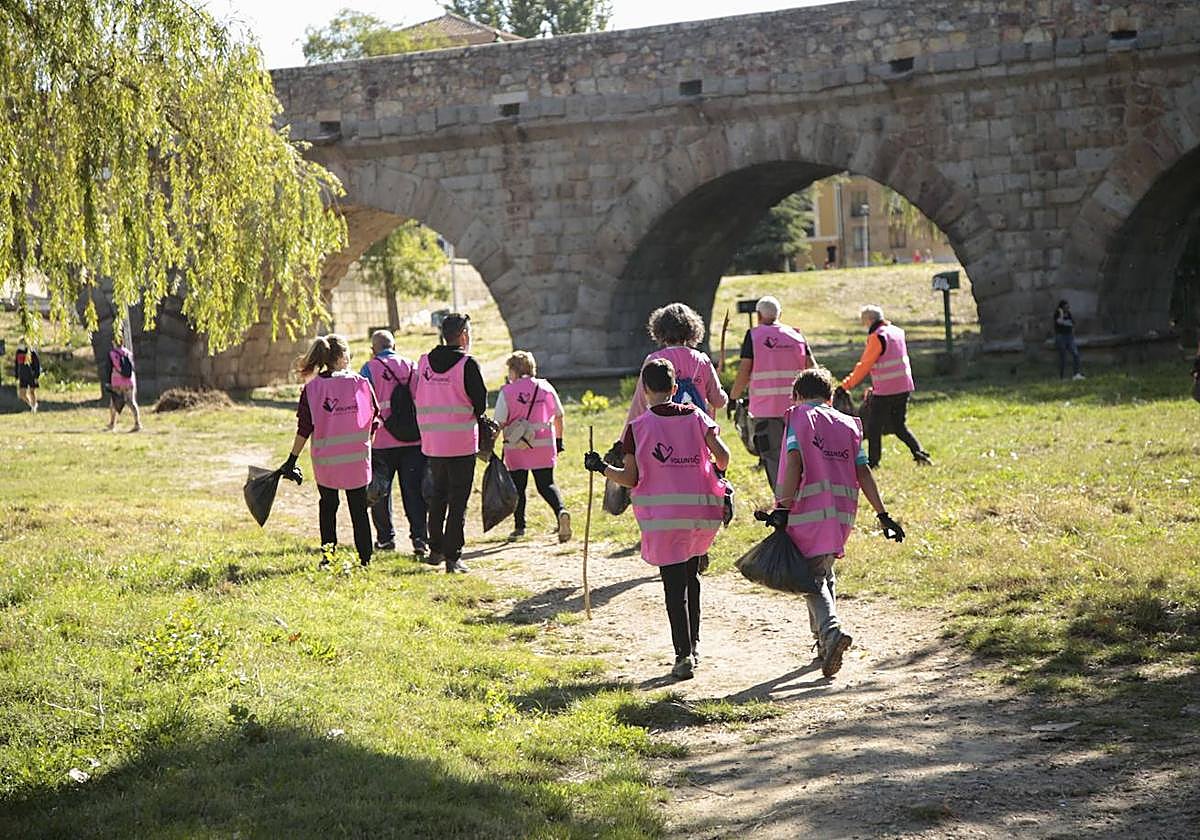 Voluntarios ambientales que participan en el programa 'VoluntaS'.