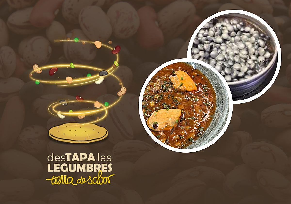 En el círculo, las dos elaboraciones de los establecimientos de Salamanca que se presentan al Campeonato Nacional 'desTapa las legumbres'.