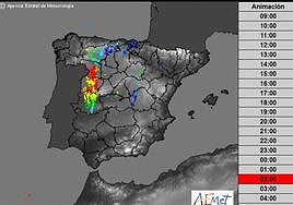 Mapa de rayos de la AEMET a las dos de la madrugada de anoche.