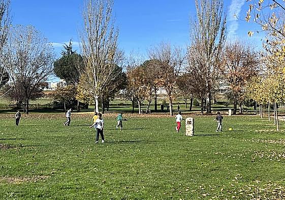 Niños de Carbajosa juegan en el Prado de la Vega.