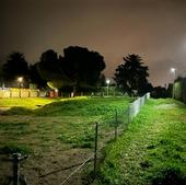 Luminarias instaladas en el Bosque de los Niños.