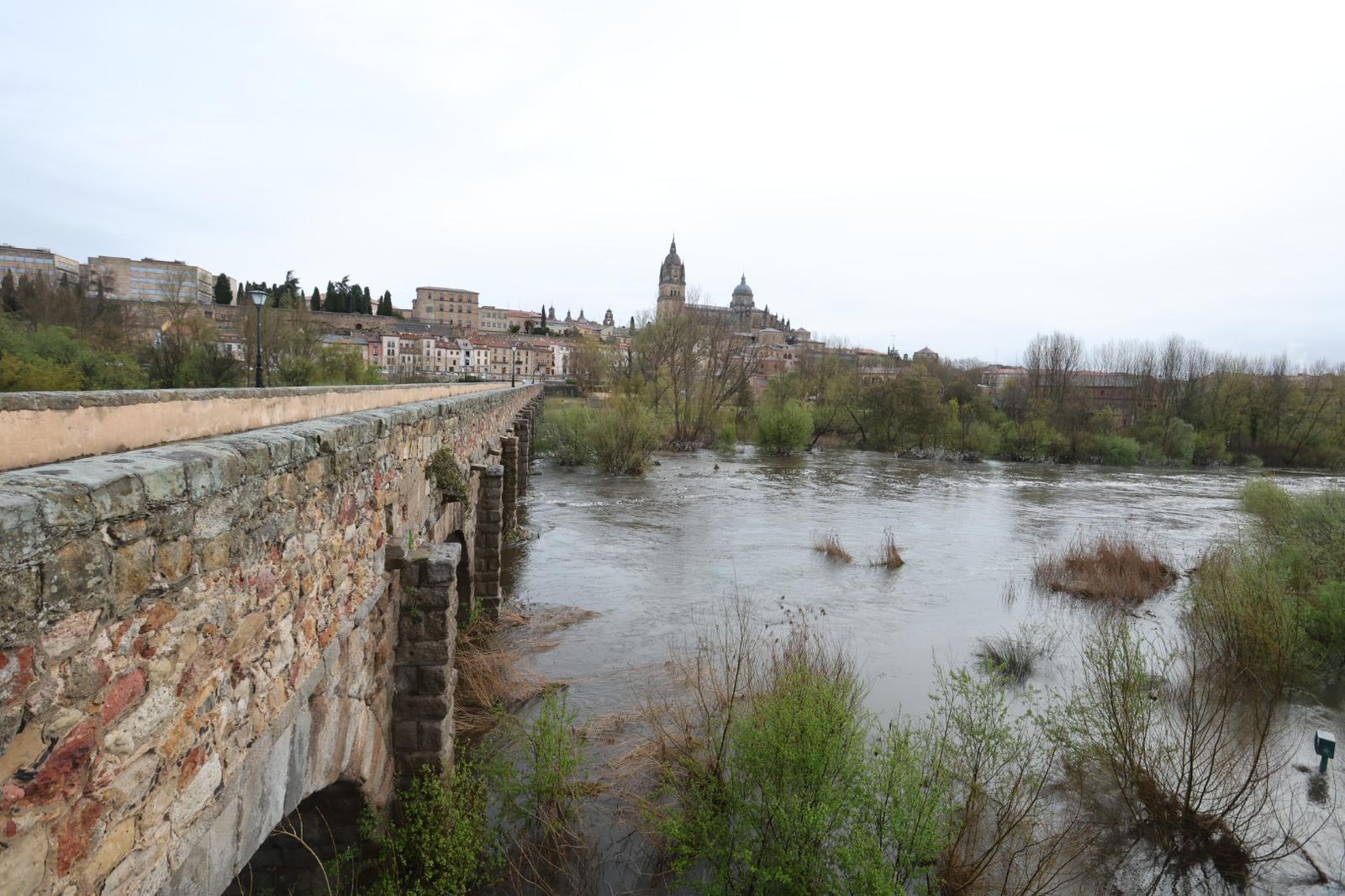 Crecida del Tormes por las lluvias y nevadas