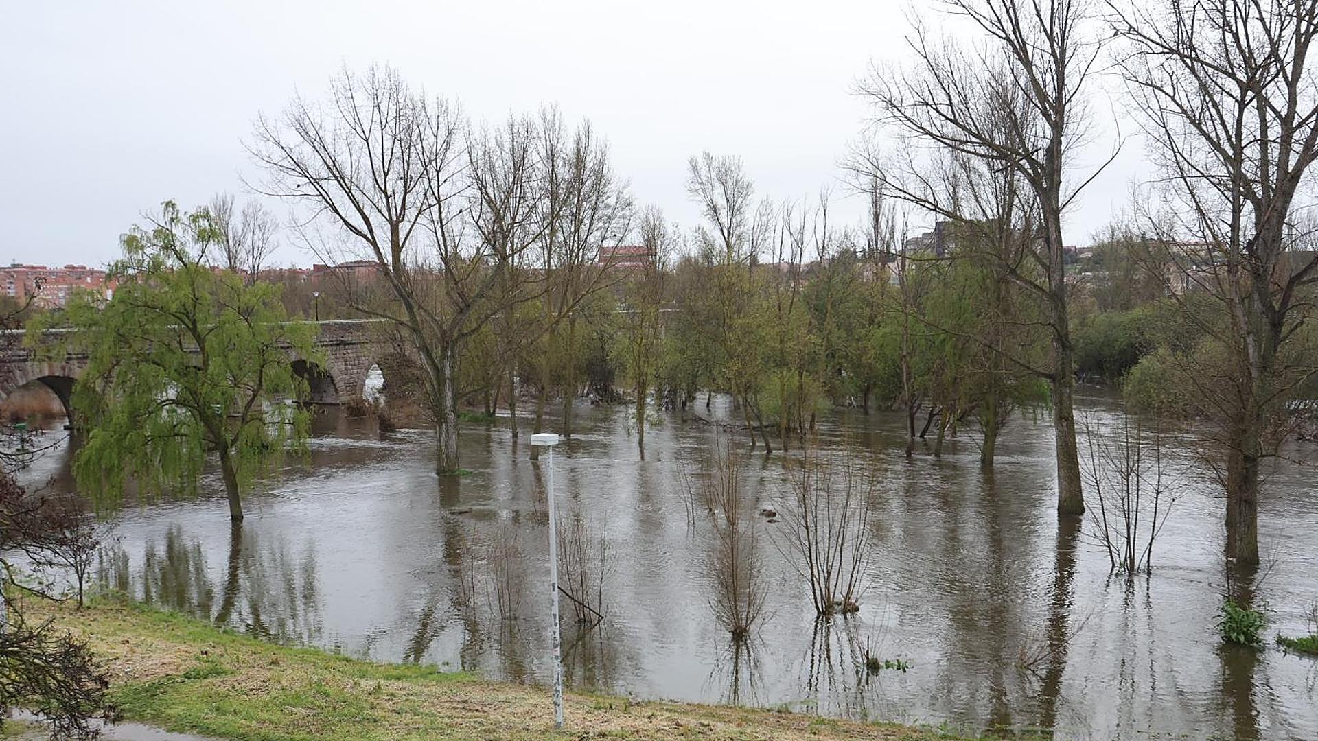 Importante crecida del Tormes a su paso por Salamanca con tendencia al