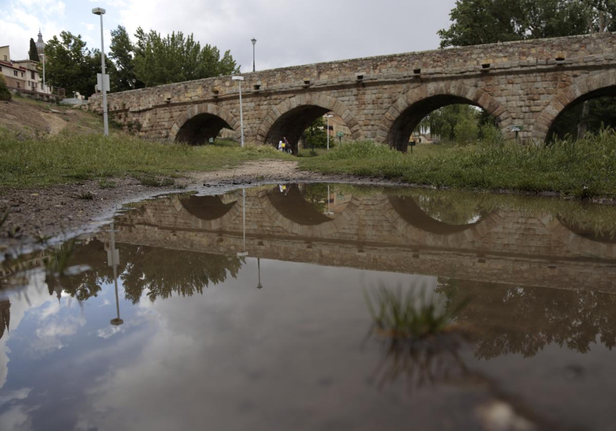 Una espectacular crecida del Tormes anega los alrededores del Puente Romano