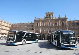 Dos de los nuevos autobuses eléctricos, en la Plaza Mayor de Salamanca.