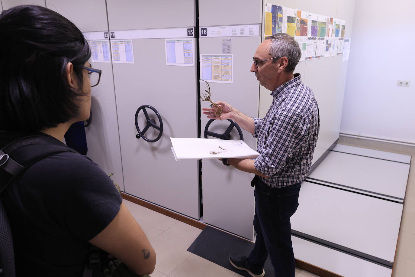 Plantas secas al servicio de la investigación