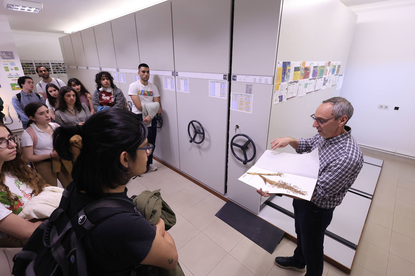 Plantas secas al servicio de la investigación