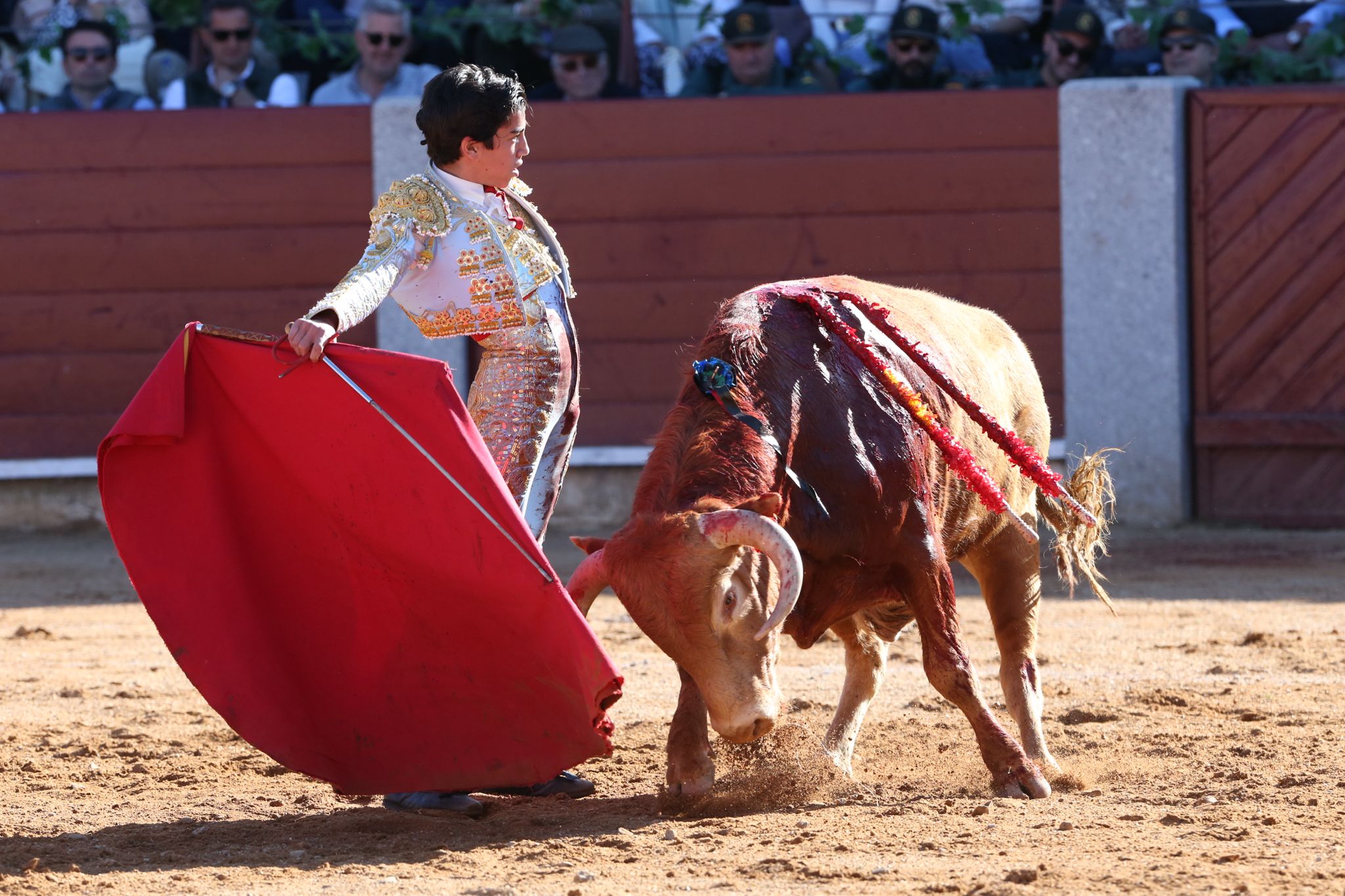 Puerta grande para Marco Pérez en una ilusionante tarde en Guijuelo