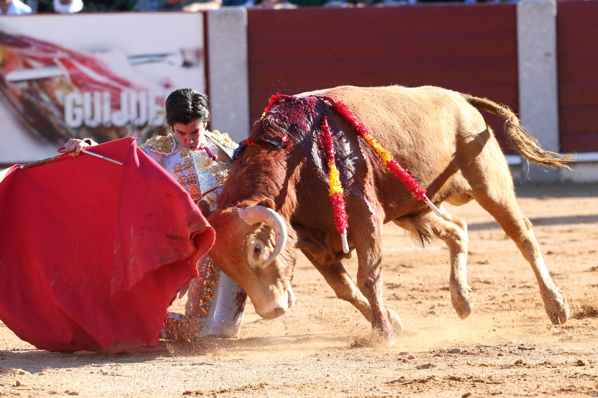 Puerta grande para Marco Pérez en una ilusionante tarde en Guijuelo